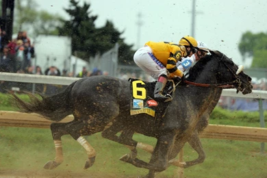 Images Horse Racinghorse Racing Hd Horse Racing Kentucky ...