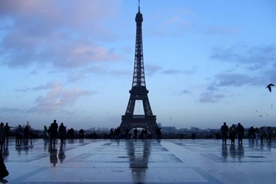 Most Popular Wallpapers Free Download,desktop Wallpapers