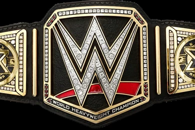 Daniel Bryan WWE World Heavyweight Champion By Nibble T On DeviantArt