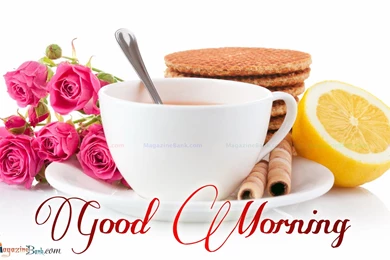 Good Morning   Free Large Images