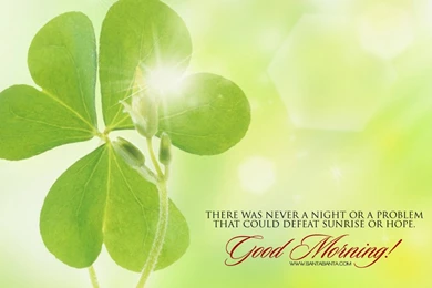 Good Morning Wallpapers, Pictures, Photos, Screensavers