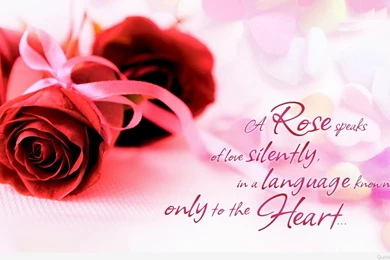 Good Morning Quotes Hd Wallpaper Images 2015 2016