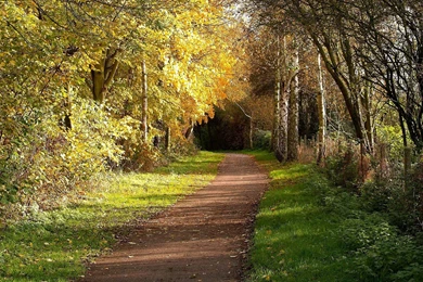 10+ Wonderful Nature HD Wallpapers   WonderWordz