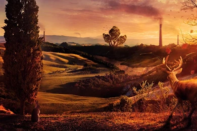 Wonderful Nature Wallpapers   (