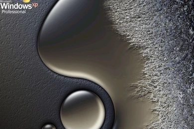 Wallpaper: Windows XP, Metallic, Technology, Windows Professional ...