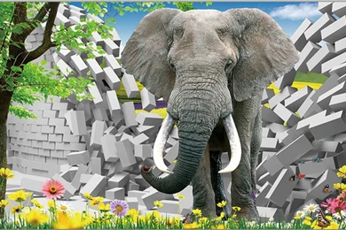 Natural Animal Elephant Television Backgrounds Wallpapers Bedroom ...