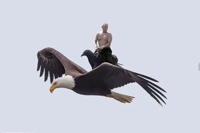Putin Rides A Crow Who Rides An Eagle Wallpapers
