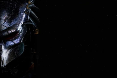 Download Predators 1280 X 800 Wallpapers   2674549