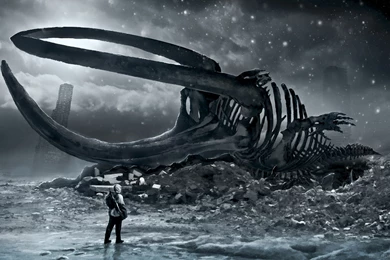 Download The Predators Skeleton Wallpaper, Predators Skeleton ...