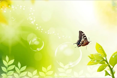 Nature Backgrounds Wallpapers HD Download High Resolution