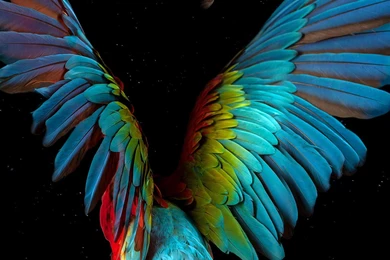 Download LG K10 Stock Wallpapers Full HD