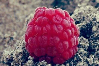 Wallpapers Lg G3 1440 2560 94   1440 X 2560   Lg G3 1440 2560 Quad ...