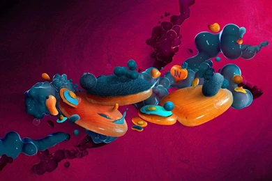 Wallpapers For LG Phone   Android Apps On Google Play