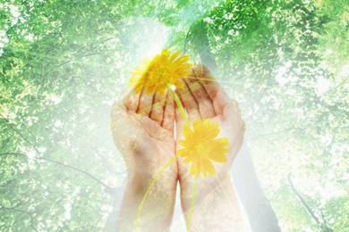 Free Beautiful Hands And Pray Backgrounds For PowerPoint ...