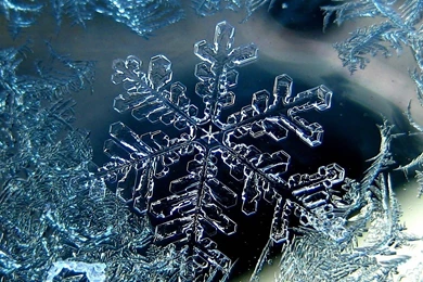 Harley Davidson Wallpapers High Resolution For Widescreen Wallpapers ...