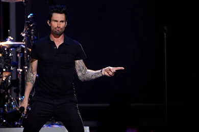 Adam Levine 2014 >> HD Wallpaper, Get It Now!