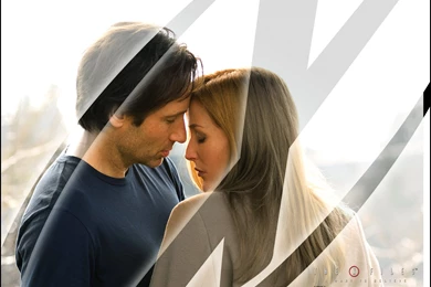 IWTB Wallpapers   The X Files: I Want To Believe Wallpapers ...