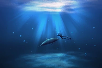 Under Deep Ocean By Almirith7 On DeviantArt