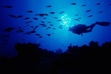 400x302px Deep Ocean Wallpapers For Free 11.4 KB