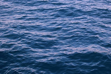 Deep Ocean Wallpapers Wallpapers