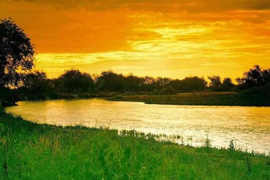 Wallpapers Indian Tricolour Nature In Tricolor 112025.6 1024x768 ...