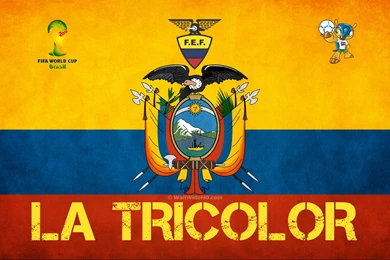 La Tricolor 2014 Ecuador Football Crest Logo World Cup Wallpapers