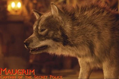 Other Maugrim Chronicles Narnia Fantasy Wolf Desktop Backgrounds ...