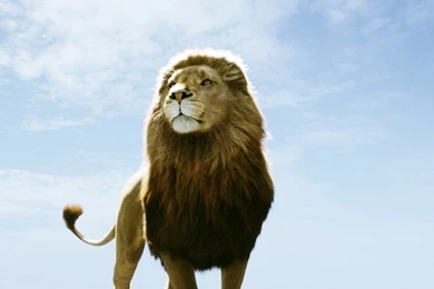 Dawn Animals Lions Skyscapes Chronicles Of Narnia 1920x1200 ...