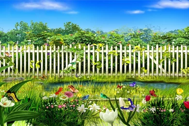 Wedding Album Design Software Wedding Album