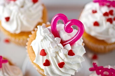 Index Of /wp content/uploads/bulkimages 1451897440/