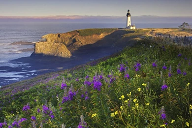 Oregon Desktop Wallpapers   HD Wallpaper Backgrounds Of Your Choice