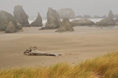 Oregon Coast Wallpapers － Landscape Wallpapers   Free Download ...