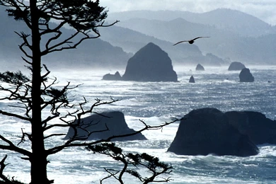 Ecola Point Oregon Coast Wallpapers