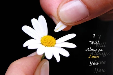 Love Wallpapers, Cute Lovely Desktop Backgrounds, Lovely Heart ...