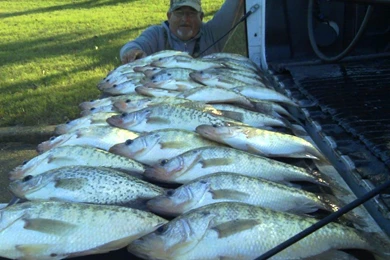 Www.crappie101.com