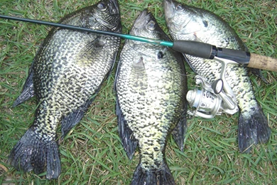 Shrinkwrap,SHRINKWRAPING,FISHING,BOATSTORAGE,WINTERIZING ...