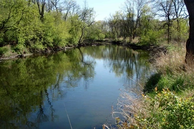 Wade Small Rivers For Crappies