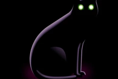 Funny Iphone Wallpaper Backgrounds Lock Screens   Small Black Cat ...