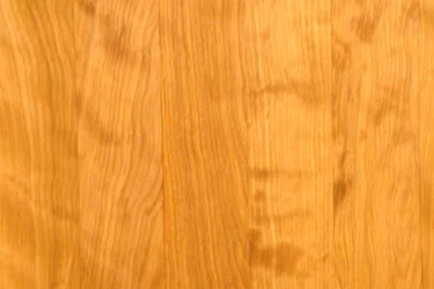 Birch Wood Grain Skin For HP TouchPad