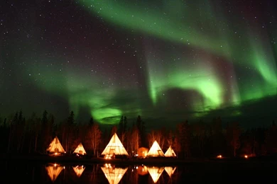 Aurora Sky Forest Hd Wallpapers   (