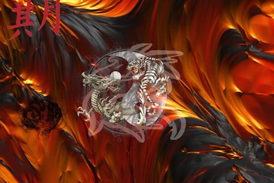 Dragon And Tiger Wallpapers   HD Wallpapers Pretty