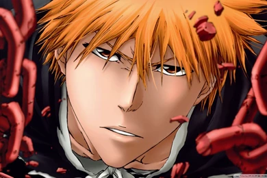 Download Bleach 3 Wallpapers 1920x1080