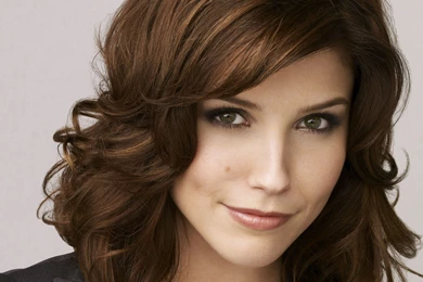 Sophia Bush HD Wallpapers For Desktop Of American Actress