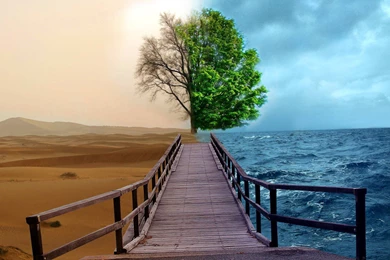 Hd Wallpapers, Mother Nature, Flower Images, Beautiful, Green ...