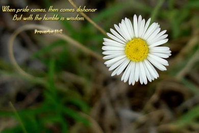 Download HD New Year 2016 Bible Verse Greetings Card & Wallpapers ...