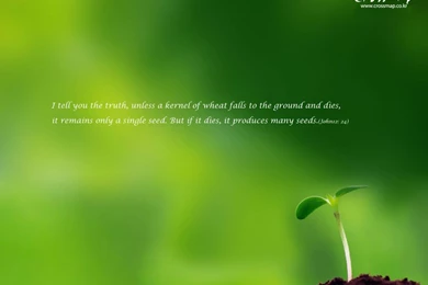 Christian Wallpapers With Bible Verses Wallpapers Bit