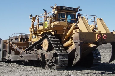 Caterpillar Wallpapers