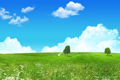 Lovely Green Landscape Wallpapers