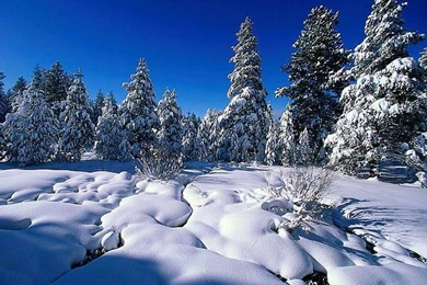 3D Animation 7 Cool Hd Wallpapers   Hivewallpaper.com