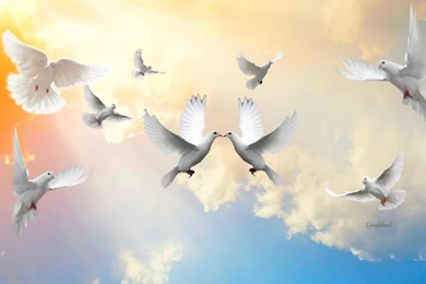 Kissing Wallpapers, Love, Couple Wallpapers